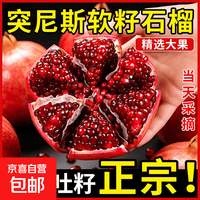 头茬会理突尼斯软籽石榴 当季四川石榴 带箱5斤250g+彩箱礼盒