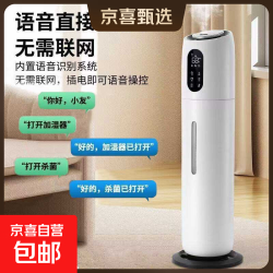 加湿器杀菌孕妇大雾婴儿家用卧室静音大容量落地式客厅 白色智能除菌顶配语音款（语音控制+带遥控器）