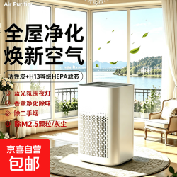 空气净化器除甲醛除烟尘除异味新款便携负离子除烟除尘家用办公室桌面神器室内新房装修活性炭净化