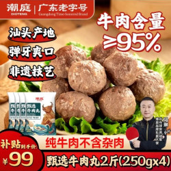 潮庭 甄选牛肉丸250g*4 牛肉含量≥95% 纯牛肉不含杂肉 潮汕火锅食材