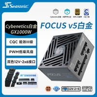 海韵 1000W 双色线材白金认证 电脑电源