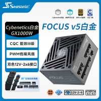 海韵 1000W 双色线材白金认证 电脑电源