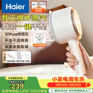 海尔 手持挂烫机30g爆炸蒸汽160ml水箱家用便携干湿平挂两用熨衣神器HSS-B08W