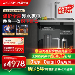 韦思卡尔 厨下加热净水器黑积木hot等效2500G温水大流量家用大通量热水净水器净热一体厨下净水器