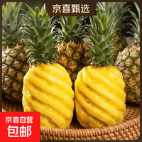 京喜 广东徐闻香水菠萝新鲜应季清甜水果香甜多汁菠萝水果现货直发 3个装-单果650g起-净重4.5-5斤
