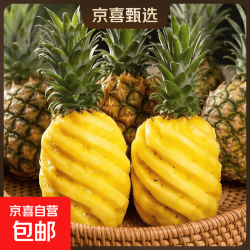 京喜 广东徐闻香水菠萝新鲜应季清甜水果香甜多汁菠萝水果现货直发 3个装-单果650g起-净重4.5-5斤