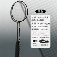 特步 羽毛球拍正品旗舰店官方碳素纤维超轻成人耐打双拍套装专业级