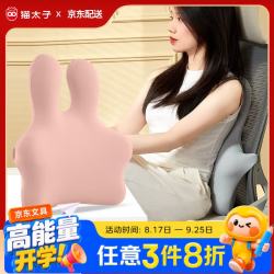 猫太子 人体工学儿童腰部靠垫椅子靠背办公室学生腰托腰椎汽车呵护透气靠枕 基础粉