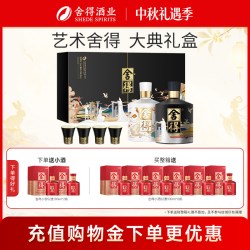 舍得 艺术舍得 大典 艺术礼盒 白酒套装  500ml