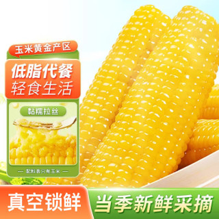 佟创 黄糯玉米8支 单棒220g