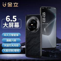 金立 x300智能备用大屏幕双卡双待黑色64GB学生老人手机