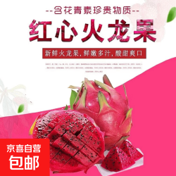 京喜自营-专用品牌 甄选广西红心火龙果金都一号蜜宝生鲜孕妇水果香甜多汁整箱包邮 带箱5斤净重4.5斤  单果200g+