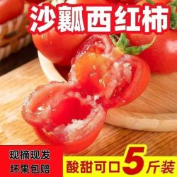 京喜加 自营正宗沙瓤西红柿番茄新鲜生吃炒菜吃农家自种蔬菜酸甜 2斤 中果特惠装