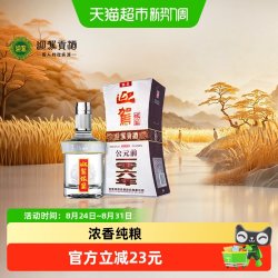 迎驾贡酒 银星 42度 浓香型白酒 520ml*1瓶