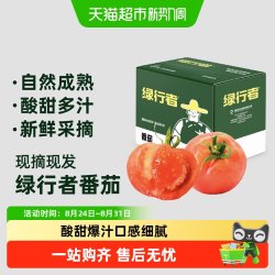 GREER 绿行者 草莓西红柿 1.5kg
