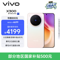 vivo X300 5G 手机 幸运彩 12GB 512GB