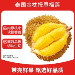 鲁禧海岸 报恩 金枕榴莲净重3-4斤