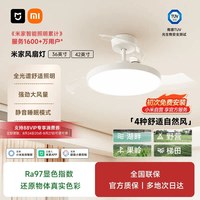 米家 9290041667 风扇灯 95W 白色 42英寸