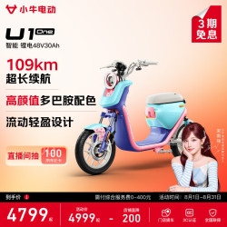 小牛电动 U1 one 电动自行车 48V30Ah锂电