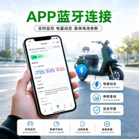 星恒 74V40Ah磷酸锰铁锂蓝牙版含10A充电器电动车电池