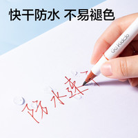 得力 彩色双头勾线笔 水性油墨学习重点标记笔儿童美术绘画描边勾线笔 10支/袋 S563-C