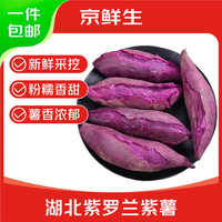 京鲜生 2026湖北紫罗兰紫薯 净重5斤单果约100g+ 新鲜蔬菜 源头直发