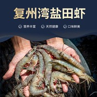品善品 大连复州湾盐田虾 40-50头 3斤装 速冻海虾