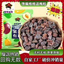 馋嘴格格 话梅粒一包梅好多种新口味七分酸三分甜休闲零食