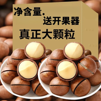 夏威夷果奶香味大颗粒新鲜奶油味坚果零食特大果批发1斤