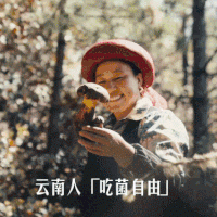 300元代金券|限1张