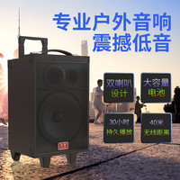 万圣 Q8N唱歌大功率广场舞音响重低音大容量拉杆音响K歌充电话筒