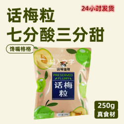 馋嘴格格 厂家直发新鲜果干蜜饯酸甜无核休闲零食酸梅干