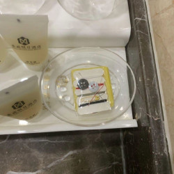豪庭假日酒店 1晚