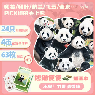 山丘 熊猫便便纸插画文创合集+附赠63枚DIY贴纸+手工可爱创意胶带