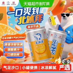 北冰洋 橙汁汽水 200ml*24罐