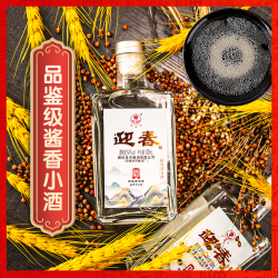 迎春 54度品鉴小酒100ML 54度100ml