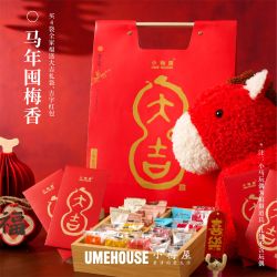 小梅屋 马年大吉限定全家福十口味大礼盒蜜饯果干600g春节年货送礼