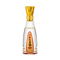 双沟 君坊小酒52度100mL