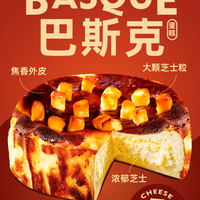 巧师傅 提拉米苏重芝士巴斯克蛋糕乳酪芝士生日甜品零食500g冷链