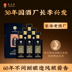 JIANGFUJIA/酱父家窖藏 30年老厂优级工艺纯粮酿造53%Vol500ml