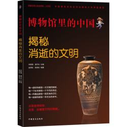 揭秘消逝的文明（大字版）