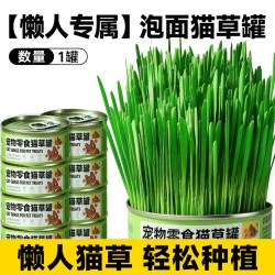 助宠 猫草盆栽猫咪罐头水培无土助胃消化零食泡面猫零食植物种植猫薄荷