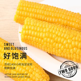 轻语拾光 黄糯玉米