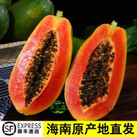 金叹 树上熟 红心木瓜  散装 1g