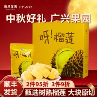 广兴果园 君恬果园冻干榴莲干水果干礼盒办公室休闲解馋小零食健康礼品