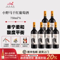 迦南美地 HELAN MOUNTAIN 贺兰山 迦南美地小野马赤霞珠美乐干红葡萄酒整箱6瓶2021年