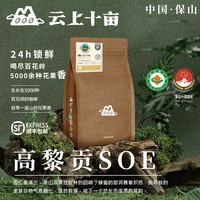移动端：云上十亩 云南保山精品手冲咖啡豆