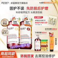 卓蓝雅 生姜防脱修护套装 800ml*2+赠洗发水125ml+洗护8ml*5+免蒸发膜280ml