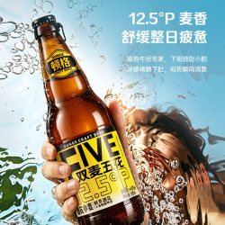顿格 双麦五花 小麦精酿啤酒 12.5°P 500ml*9瓶 整箱装