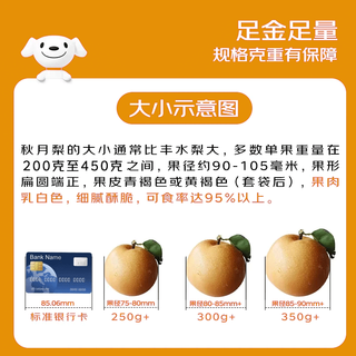 京鲜生 秋月梨 单果300g+ 净重4.5斤 新鲜水果